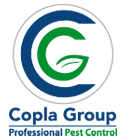 control_plagas_copla_group