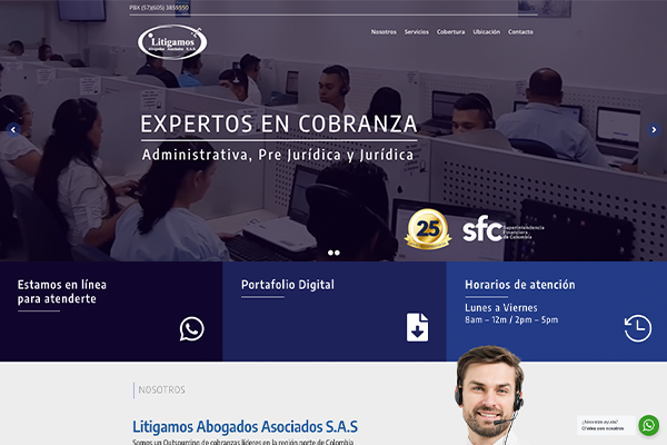 litigamos_diseno_de_sitio_web